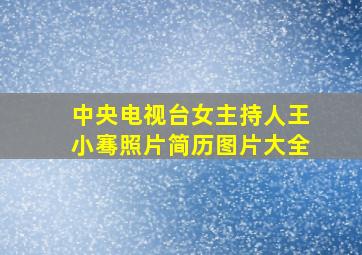 中央电视台女主持人王小骞照片简历图片大全