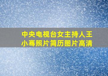 中央电视台女主持人王小骞照片简历图片高清