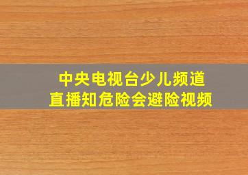 中央电视台少儿频道直播知危险会避险视频