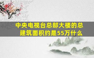 中央电视台总部大楼的总建筑面积约是55万什么