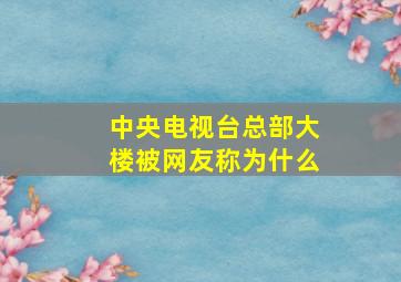 中央电视台总部大楼被网友称为什么