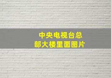 中央电视台总部大楼里面图片