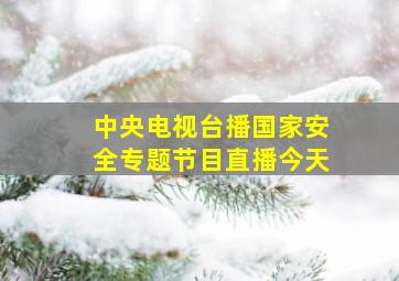 中央电视台播国家安全专题节目直播今天