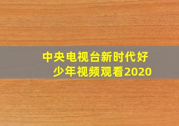 中央电视台新时代好少年视频观看2020