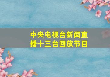 中央电视台新闻直播十三台回放节目