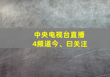 中央电视台直播4频道今、曰关注