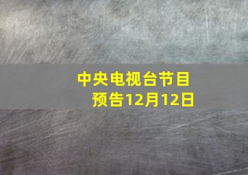 中央电视台节目预告12月12日