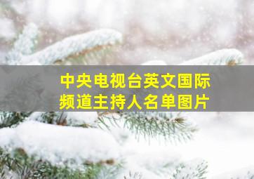 中央电视台英文国际频道主持人名单图片