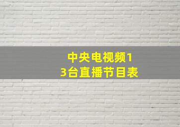 中央电视频13台直播节目表