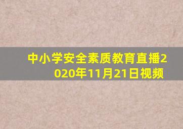 中小学安全素质教育直播2020年11月21日视频