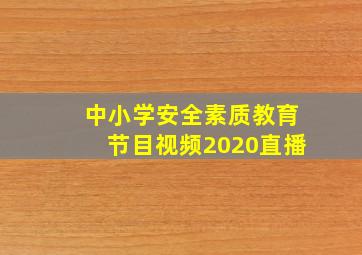 中小学安全素质教育节目视频2020直播