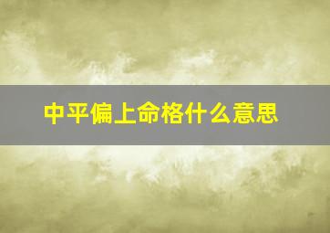 中平偏上命格什么意思