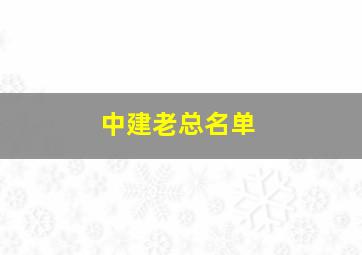 中建老总名单