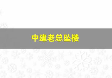 中建老总坠楼