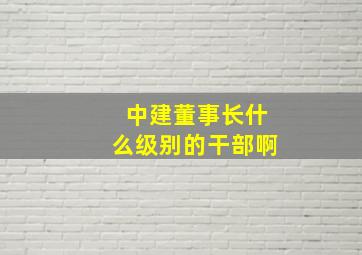 中建董事长什么级别的干部啊