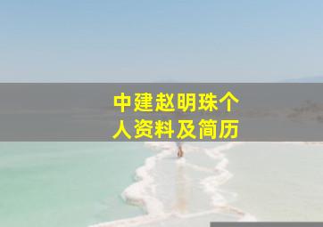 中建赵明珠个人资料及简历