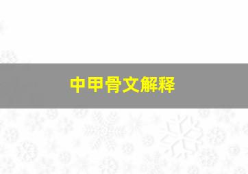 中甲骨文解释