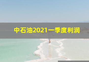 中石油2021一季度利润