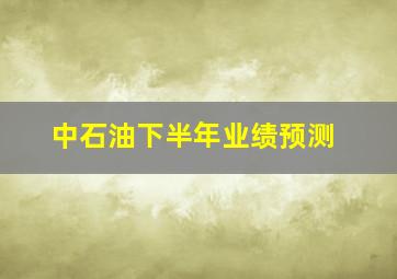 中石油下半年业绩预测