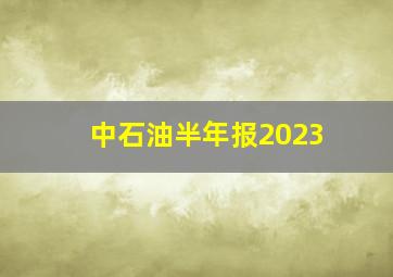 中石油半年报2023