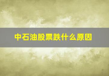 中石油股票跌什么原因