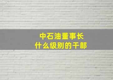 中石油董事长什么级别的干部