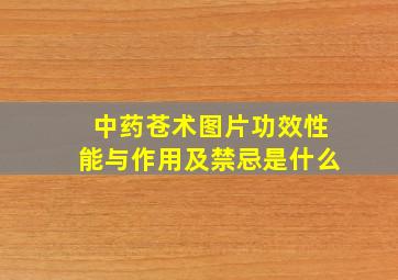 中药苍术图片功效性能与作用及禁忌是什么