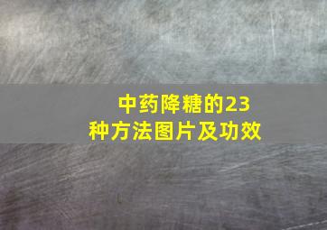 中药降糖的23种方法图片及功效