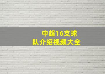 中超16支球队介绍视频大全