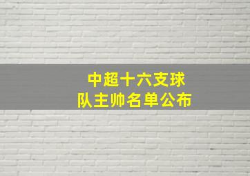 中超十六支球队主帅名单公布