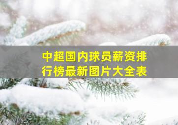 中超国内球员薪资排行榜最新图片大全表