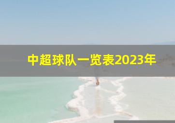 中超球队一览表2023年