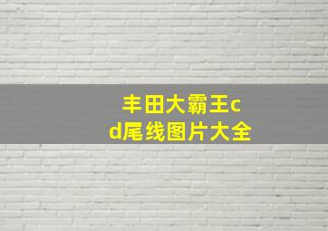 丰田大霸王cd尾线图片大全