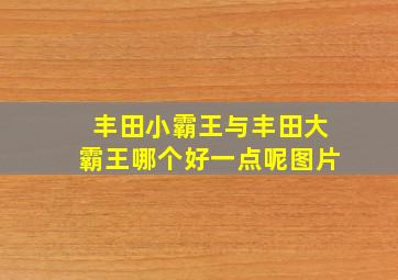 丰田小霸王与丰田大霸王哪个好一点呢图片