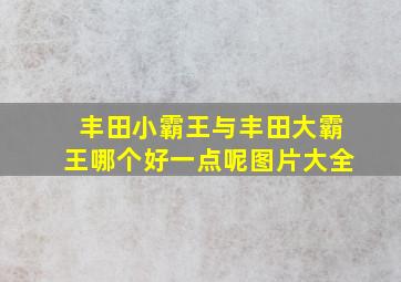 丰田小霸王与丰田大霸王哪个好一点呢图片大全