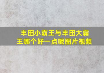 丰田小霸王与丰田大霸王哪个好一点呢图片视频