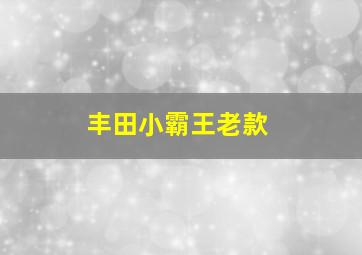 丰田小霸王老款