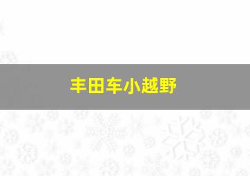 丰田车小越野