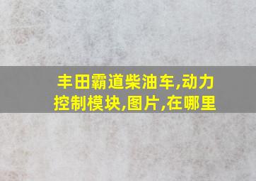 丰田霸道柴油车,动力控制模块,图片,在哪里