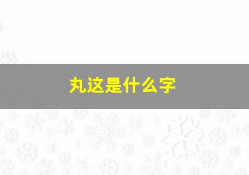 丸这是什么字