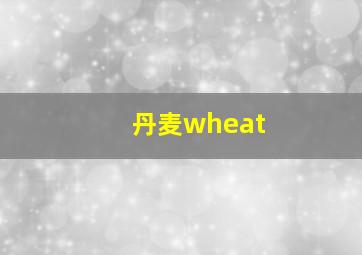 丹麦wheat