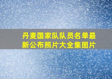 丹麦国家队队员名单最新公布照片大全集图片