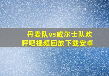 丹麦队vs威尔士队欢呼吧视频回放下载安卓