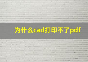 为什么cad打印不了pdf