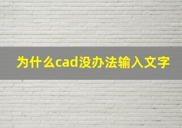 为什么cad没办法输入文字