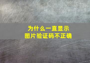 为什么一直显示图片验证码不正确