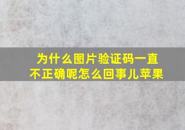 为什么图片验证码一直不正确呢怎么回事儿苹果