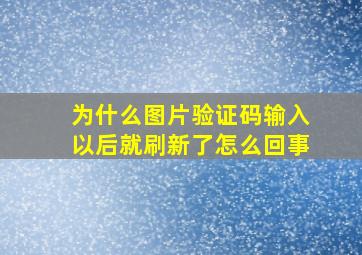 为什么图片验证码输入以后就刷新了怎么回事