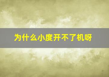 为什么小度开不了机呀