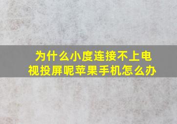 为什么小度连接不上电视投屏呢苹果手机怎么办